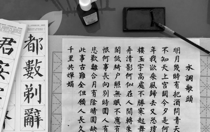 Chinese language natural language processing NLP artificial intelligence AI machine learning ML science technology challenge mandarin English physician clinician patient medicine healthcare electronic health records EHRs HIMSS